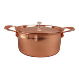 Maxbell Korean Ramen Pot Hotpot Pot Korean Instant Noodle Pot for Curry Stew Camping
