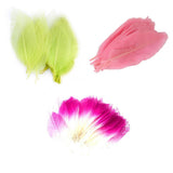 Maxbell 3x50± Mixed Natural Magnolia Skeleton Leaves DIY Wedding Card Decor Scrapbooking