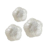 Maxbell 3 Pieces Flower Shape Plate Dessert Plate for Kitchen Dining Room Home Decor