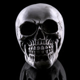 Maxbell Homosapiens Skull Statue Figurine Human Skeleton Head  Skeleton #2