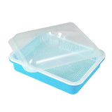 Maxbell Garden Seed Sprouter Tray Microgreens Growing Big Capacity Plant Germination Blue