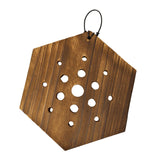 Maxbell Fern Mounting Board Wall Planter for Indoor Gardening Space Saving Versatile Hexagonal