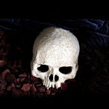 Maxbell Maxbell Reptile,Snake,Turtle,Vivarium Rock,Caves,Decor Aquarium Ornament Human Skull