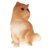 Maxbell Plastic Realistic Persian Cat Action Figure Kitten Pet Model Wildlife Jungle Animals Playset Eduactional Kids Child Toys Collectibles - Aladdin Shoppers