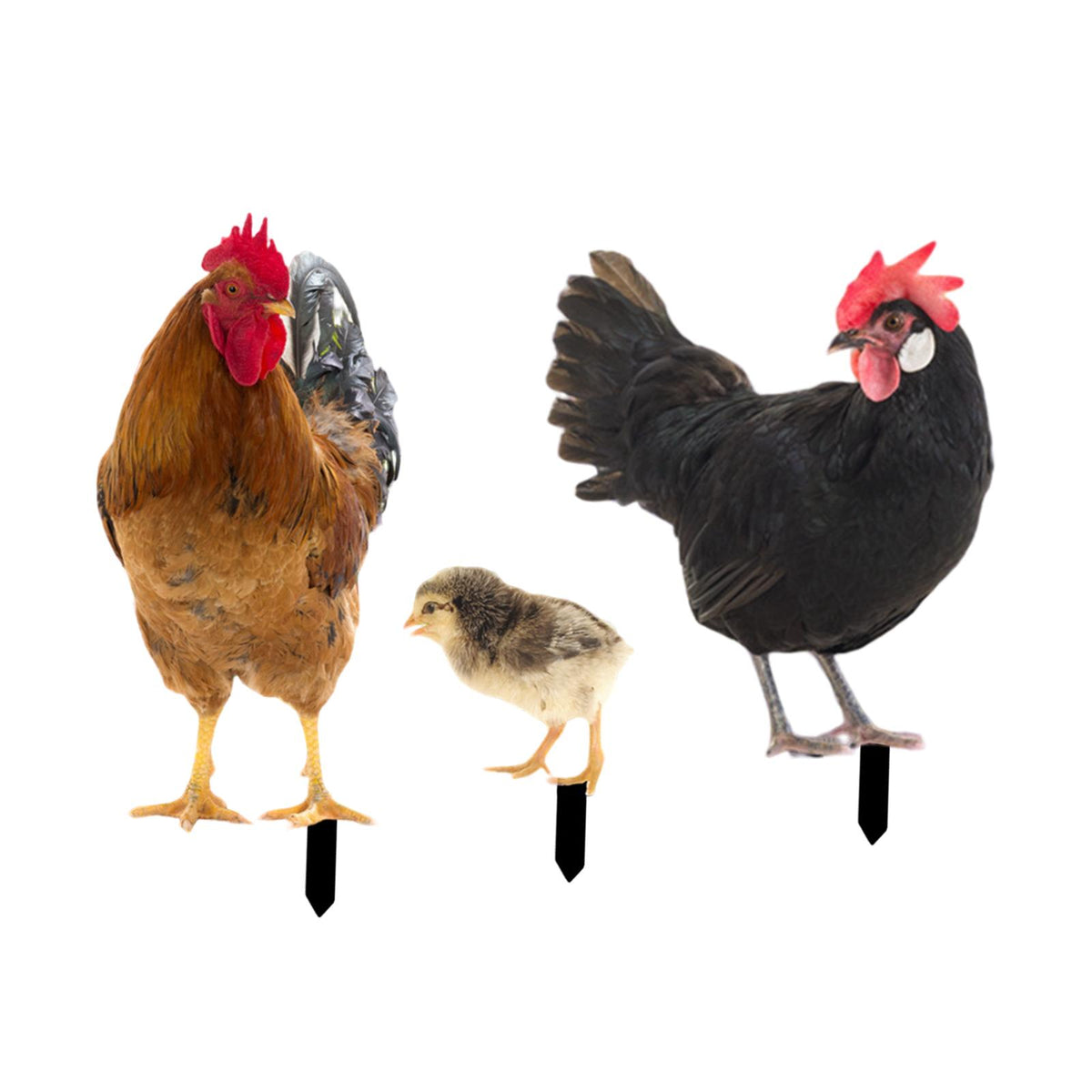 Maxbell 3x Chicken Statue Stakes Lifelike Chicken Statue for Home Backyard Farmhouse