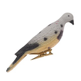 Maxbell Lifelike Pigeon Decoy Yard Plant Scarer Hunting Bait Garden Decor Colorful - Aladdin Shoppers