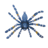 Maxbell Maxbell Realistic Science Plastic Animal Model Figure Brazilian Blue Spider Figurine Children Kids Educational Toy Home Decoration Collectibles Kids Story Telling Props