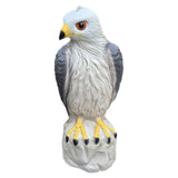 Garden Eagle Ornament Realistic Craft Garden Decor for Backyard Outside Lawn