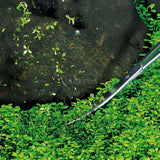 Maxbell Stainless Steel Aquarium Tank Plant Aquascaping Kit Elbow Scissors Tweezer