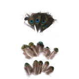 Maxbell 20pcs Natural Peacock Body Plumage & Tail Feathers Craft Mask Millinery Decor