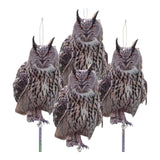 Maxbell 4Pcs Owl Decoy Lifelike Adornment Owl Statue for Farmhouse Orchard Outdoors