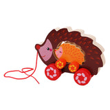 Maxbell Pull Along Toy Sensory Interactive for Birthday Pretend Play Early Education Hedgehog