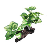 Maxbell Aquarium Plant Fish Tank Plants for Small Tank Landscaping Reptile Terrarium