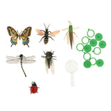 Maxbell 6 Pieces Plastic Bugs Insects Animal Model Kids Toys Party Bag Favor - Aladdin Shoppers