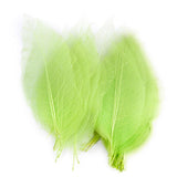 Maxbell 6x50Pcs Natural Catbrier Skeleton Leaf Leaves Card Scrapbook - Green