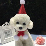 Maxbell Red Cute Small Dog & Cat Birthday Party Cone Hat Neck Scarf Set Costume