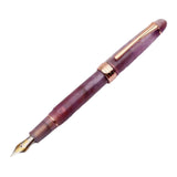 Maxbell Piston Fountain Pen Ef0.5mm Acrylic Piston Filling Pen for Signatures Writing purple