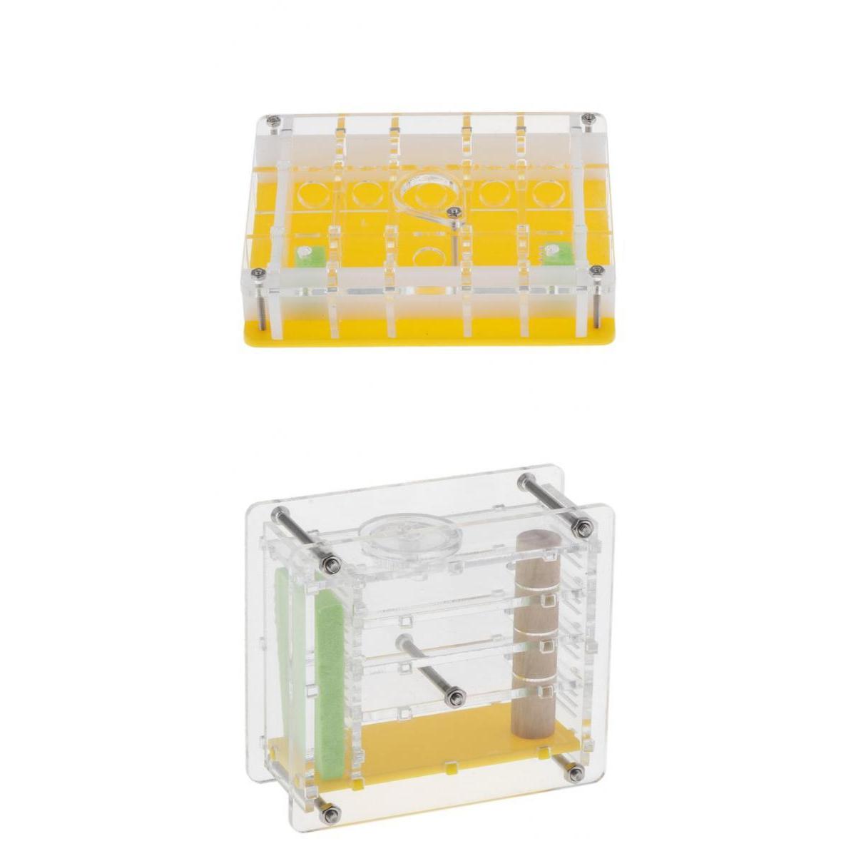 Maxbell 2pcs Clear Ant Feeding Nursery Box Ant Farm House Castle For Insect Ant