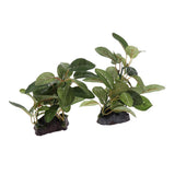 Maxbell Maxbell Underwater Aquarium Fish Tank Landscape Decorative Simulation Plant #5