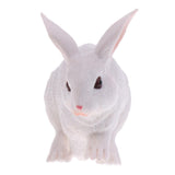 Maxbell Maxbell Lifelike Simulation Farm Zoo Rabbit Pet Animals Model Figurine Kids Figure Science Nature Toys Home Decoration