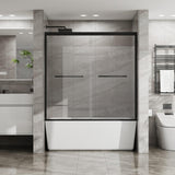 Double Sliding Bathtub Shower Door 60 in. W x 58 in. H Aluminum