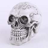Maxbell Homosapiens Skull Statue Figurine Human Skeleton Head Medical Skeleton #3