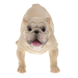 Maxbell Maxbell Simulation Wildlife Animal Model Bulldog Dog Pet Action Figures Kid Educational Toy Home Collectibles Decoration C