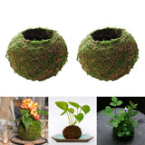 3pcs Creative Moss Ball Flower Pot Planter Bonsai Plant Holder Garden Decor