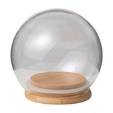 Maxbell Maxbell Clear Display Dome with Wooden Base Dustproof for Plant Office Counter Tops 12cm