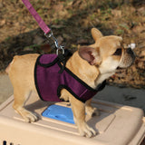 Maxbell Maxbell Breathable Mesh Pet Puppy Dog Walking Collar Chest Strap Harness Purple L