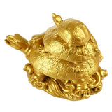 28