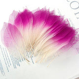 Maxbell 4x50Pcs Natural Magnolia Skeleton Leaf Leaves Card Scrapbook - Pink White