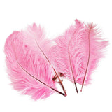 Maxbell 10pcs Ostrich Feather Crafts for Costume Hats Cards DIY Decor-Pink
