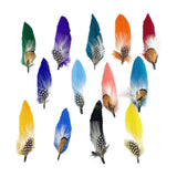 Maxbell Hat Feathers for Fedora Hats Novelty for Party Western Cowboy Hat Small Clip Quantity 13