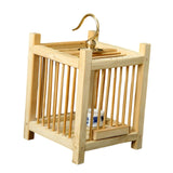 Maxbell Grasshopper Cage Square Premium Display Portable Hanging Cricket Habitat Box