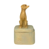 Maxbell Pet Souvenir Jewelry Box Pet Urn Gift Jewelry Case for Earring Charm Pendant