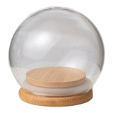 Maxbell Maxbell Clear Display Dome with Wooden Base Dustproof for Plant Office Counter Tops 8cm