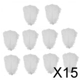 15x10 Pieces Ostrich Feathers Lightweight 25-30cm for Christmas