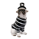 Maxbell Halloween Dog Statue Art Craft Accent Ornament for Living Room Balcony Patio Pirate