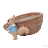 Maxbell 4pcs Cute Lovely Resin Walnut Shape Succulent Plant Pot for Home Decor