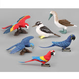 Maxbell Set of 6pcs Macaw Parrot Kookaburra Brid Model Plastic Wildlife Jungle Forest Ocean Animals Action Figure Eduactional Toys Playset - Aladdin Shoppers