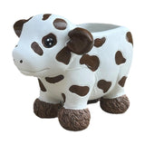Maxbell Maxbell Cow Planter Flower Vase Desk Statue Bonsai Pot for Bedroom Gift Drawing Room