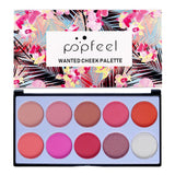 Maxbell Maxbell Blusher Palette 10 Color Makeup Face Cheek Matte Powder Blush Pallet Without Brush