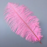 Maxbell 10pcs Ostrich Feather Crafts for Costume Hats Cards DIY Decor-Pink