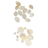 Maxbell 24 Pieces Natural Shell Charm Beads Jewelry Findings Accessories