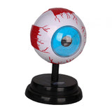 Maxbell Human Eye Anatomical Model Enlarged Eyeball Model for Display Students Study