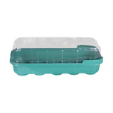 Maxbell Seed Propagator Tray 10 Holes Windowsill Tray with Cover for Backyard Garden Green