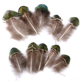 Maxbell 20pcs Natural Peacock Body Plumage & Tail Feathers Craft Mask Millinery Decor