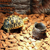 Maxbell Maxbell Reptile Feeding Bowl Food Water Resin Dish Pet Vivarium Tortoise Gecko #16