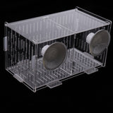 Maxbell Maxbell Aquarium Young Fish Breeding Hatchery Incubator Isolation Box Suction cup